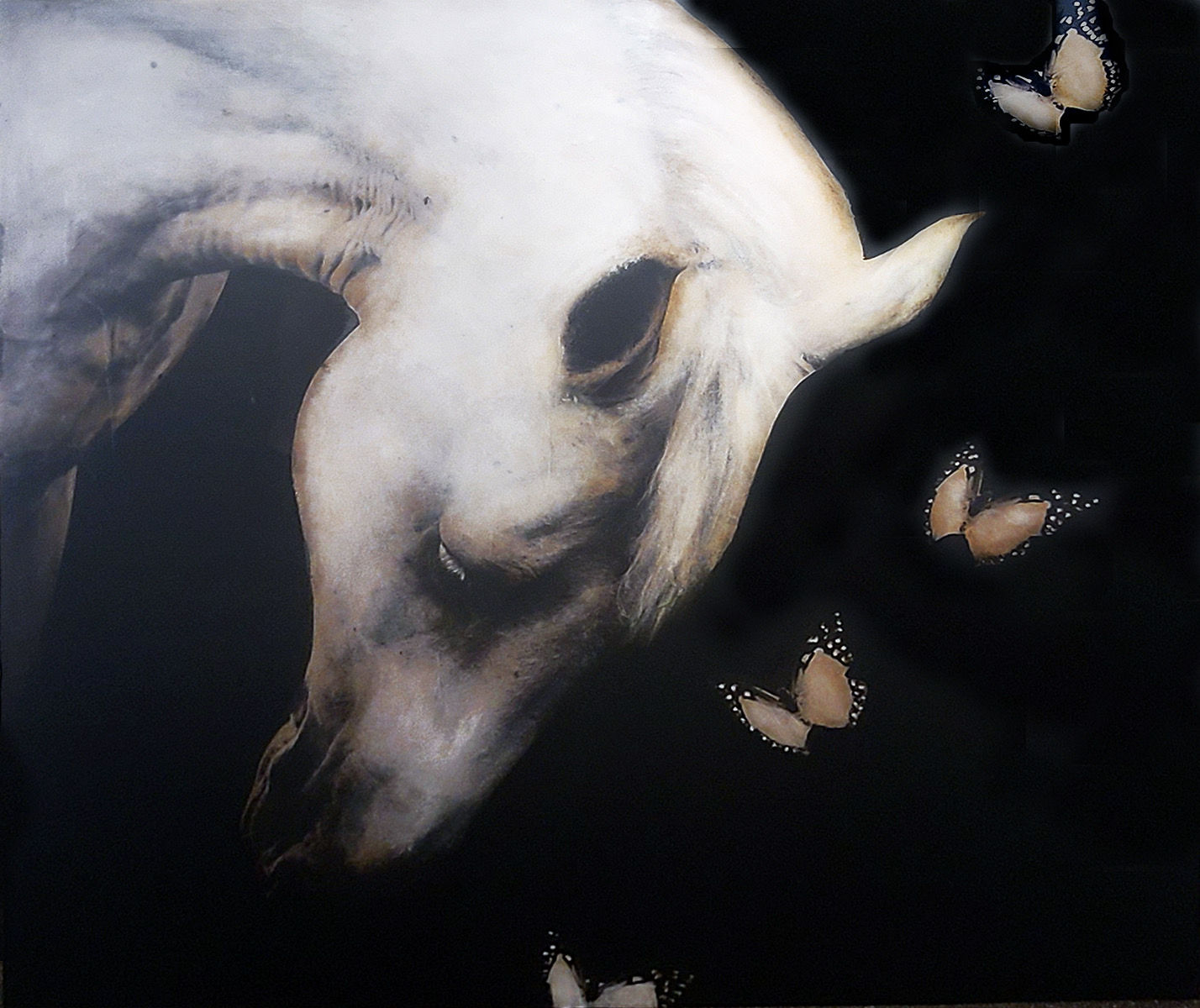 Anke Schofield, White Butterflies