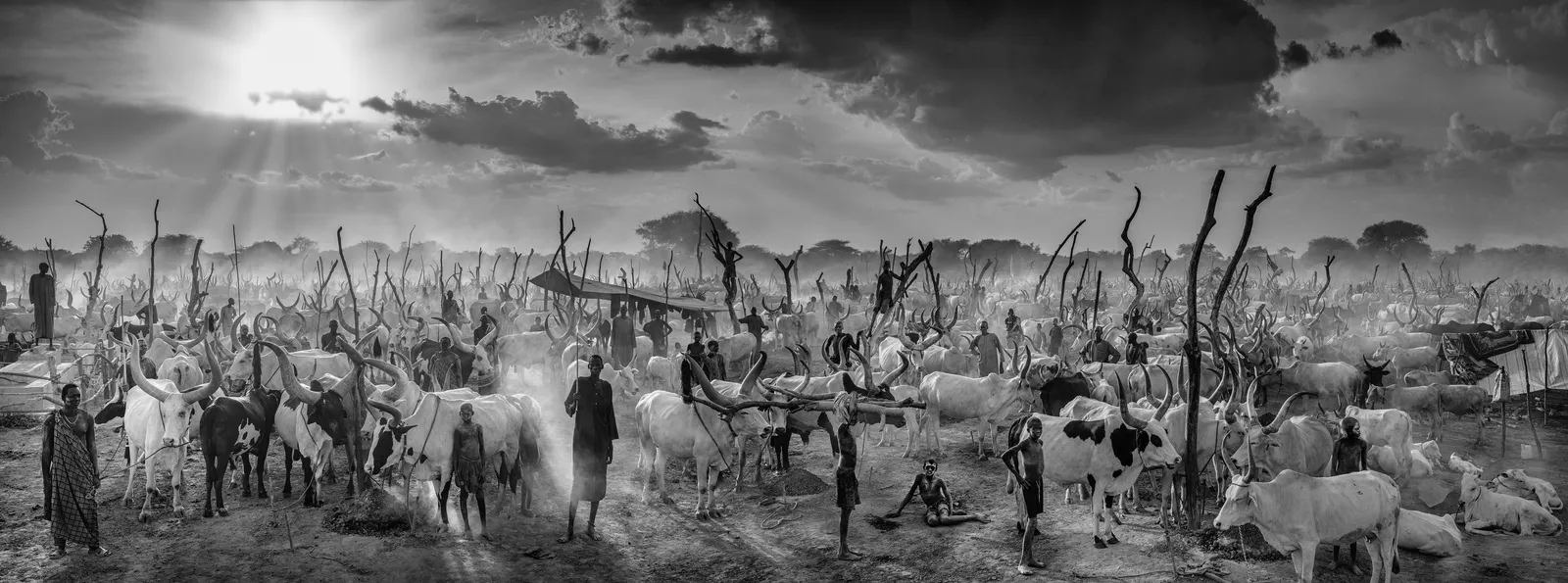 David Yarrow, The New Testament