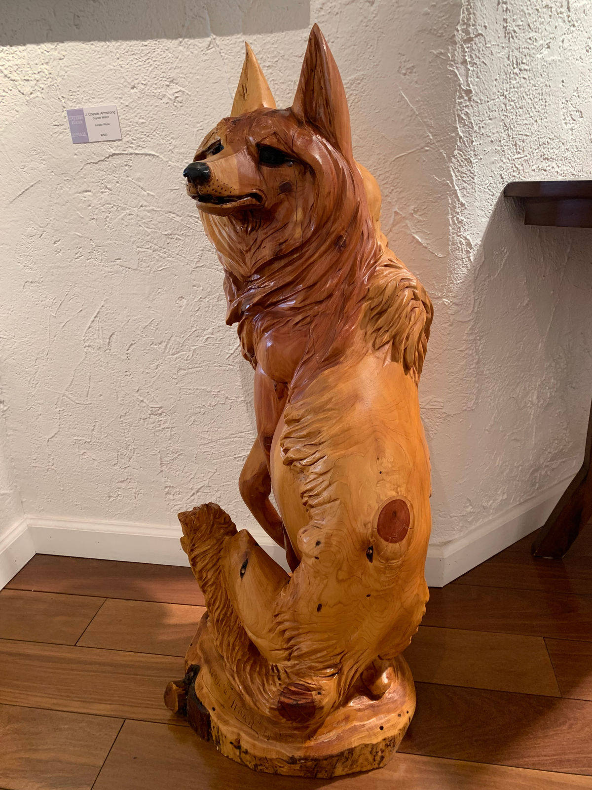 J. Chester Armstrong, Coyote Watch