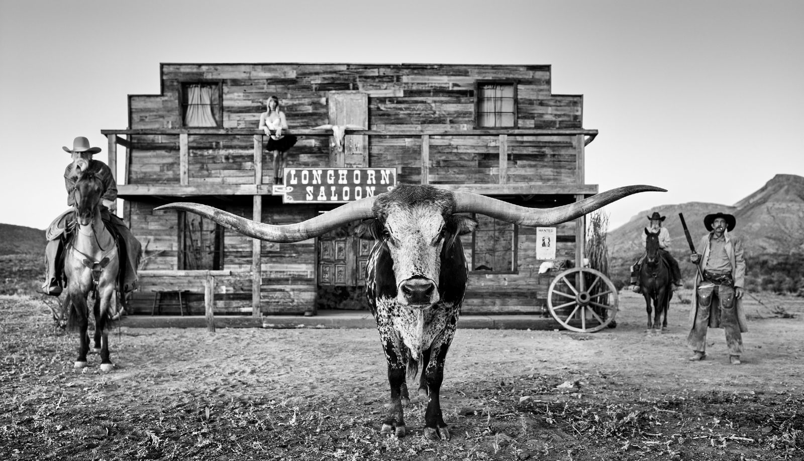 David Yarrow, The Longhorn Saloon