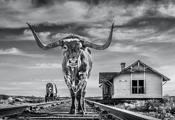 David Yarrow, The End of the Line