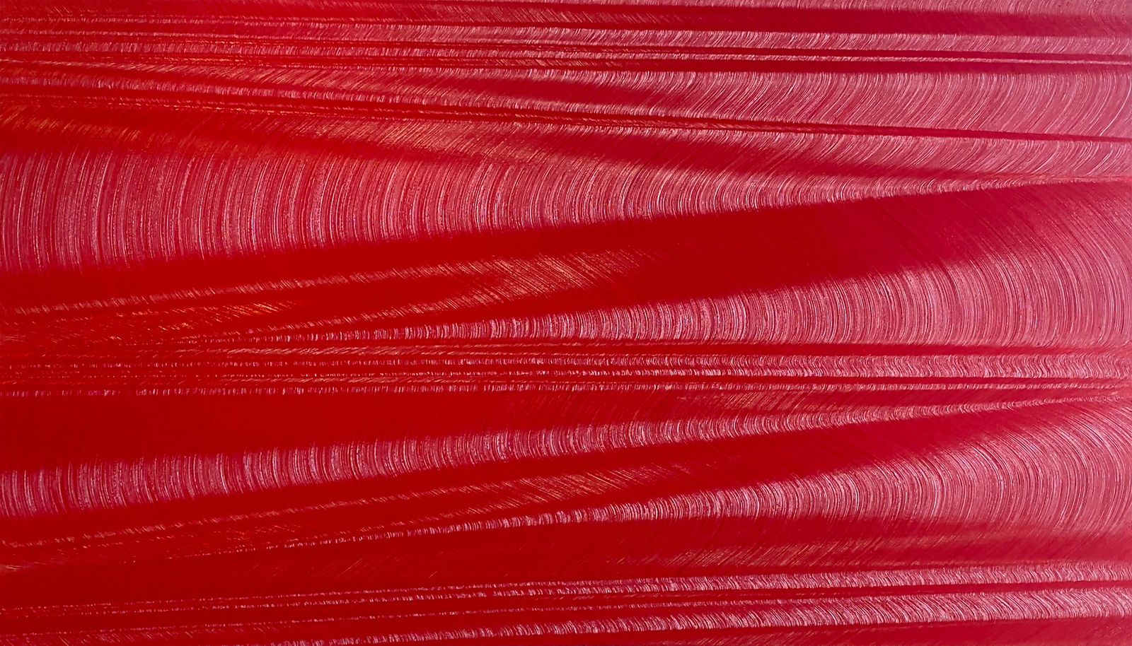 Hamilton Aguiar, Optical 21070