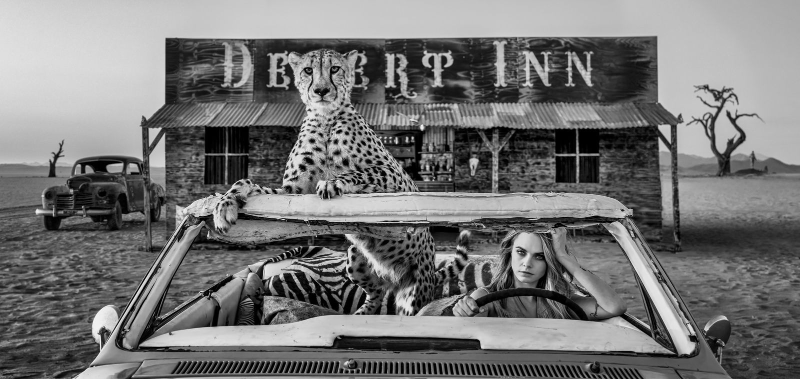 David Yarrow, Bad Asses
