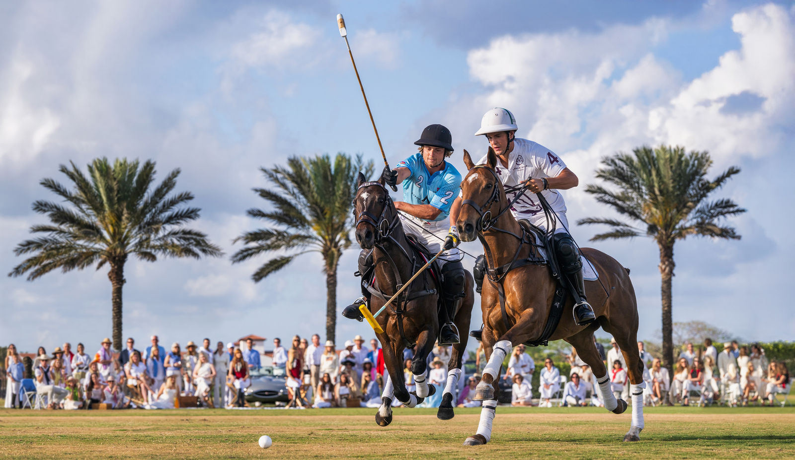 David Yarrow, Wellington