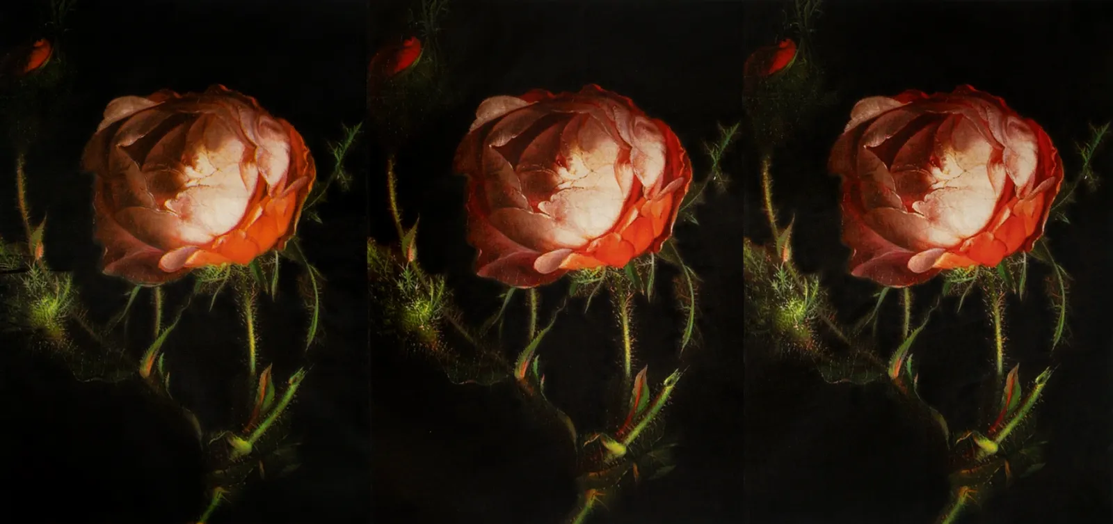 Russell Young, Vicious Circle Triptych