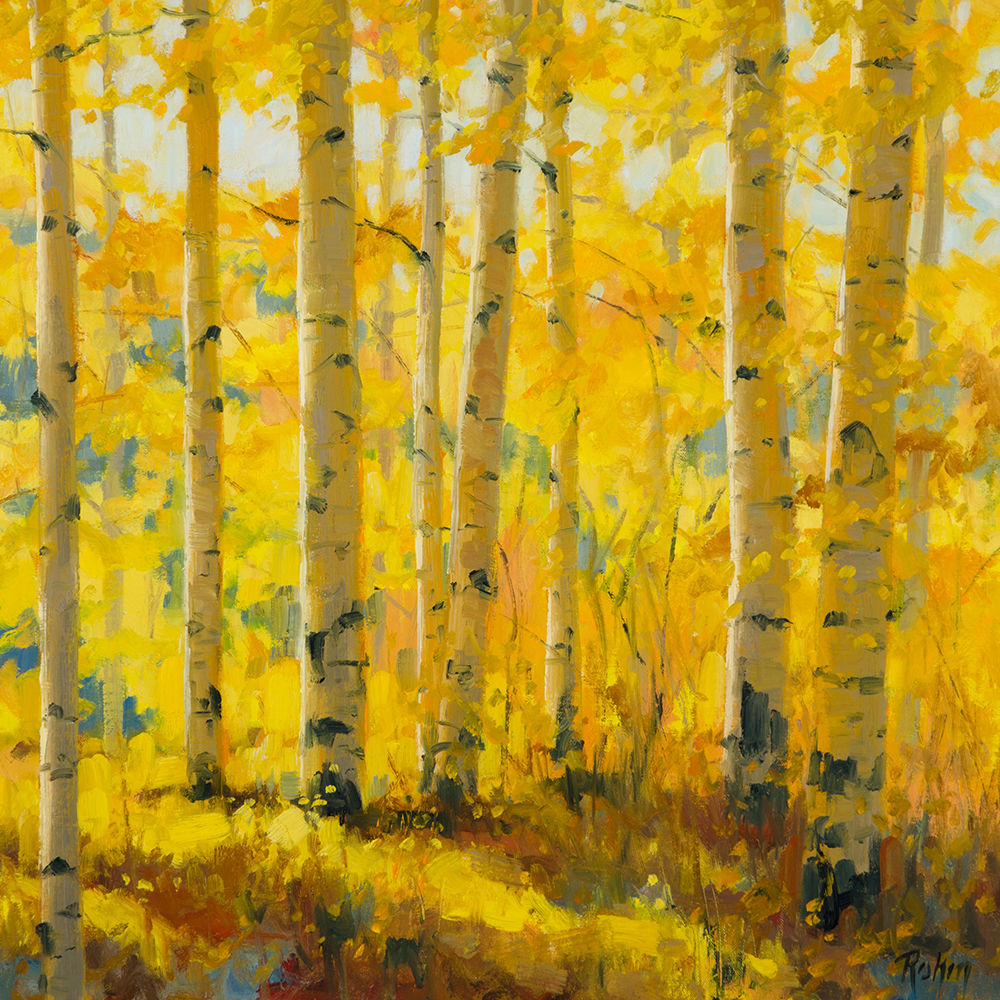 Bob Rohm, Morning Path