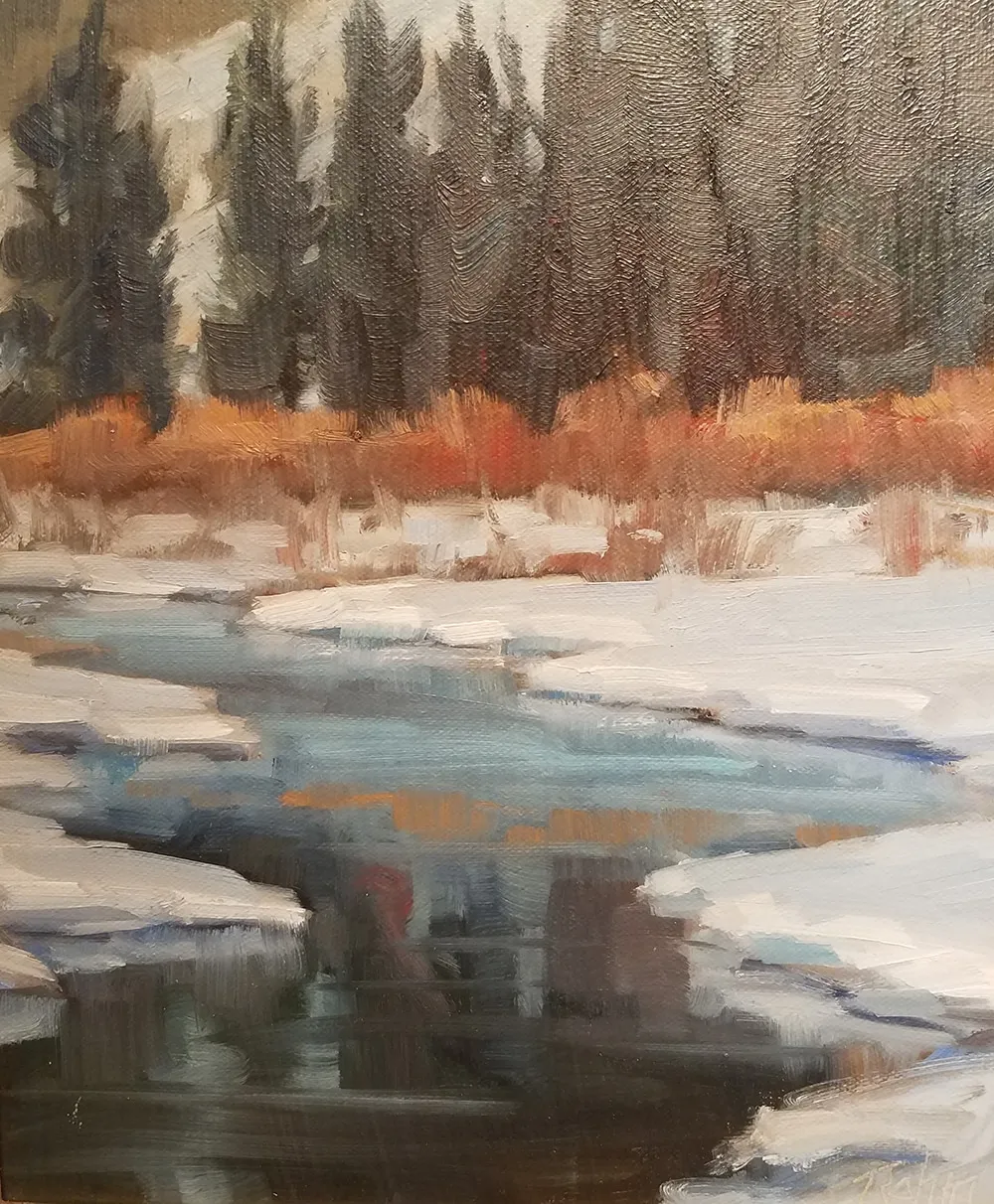 Bob Rohm, Winter Reflections