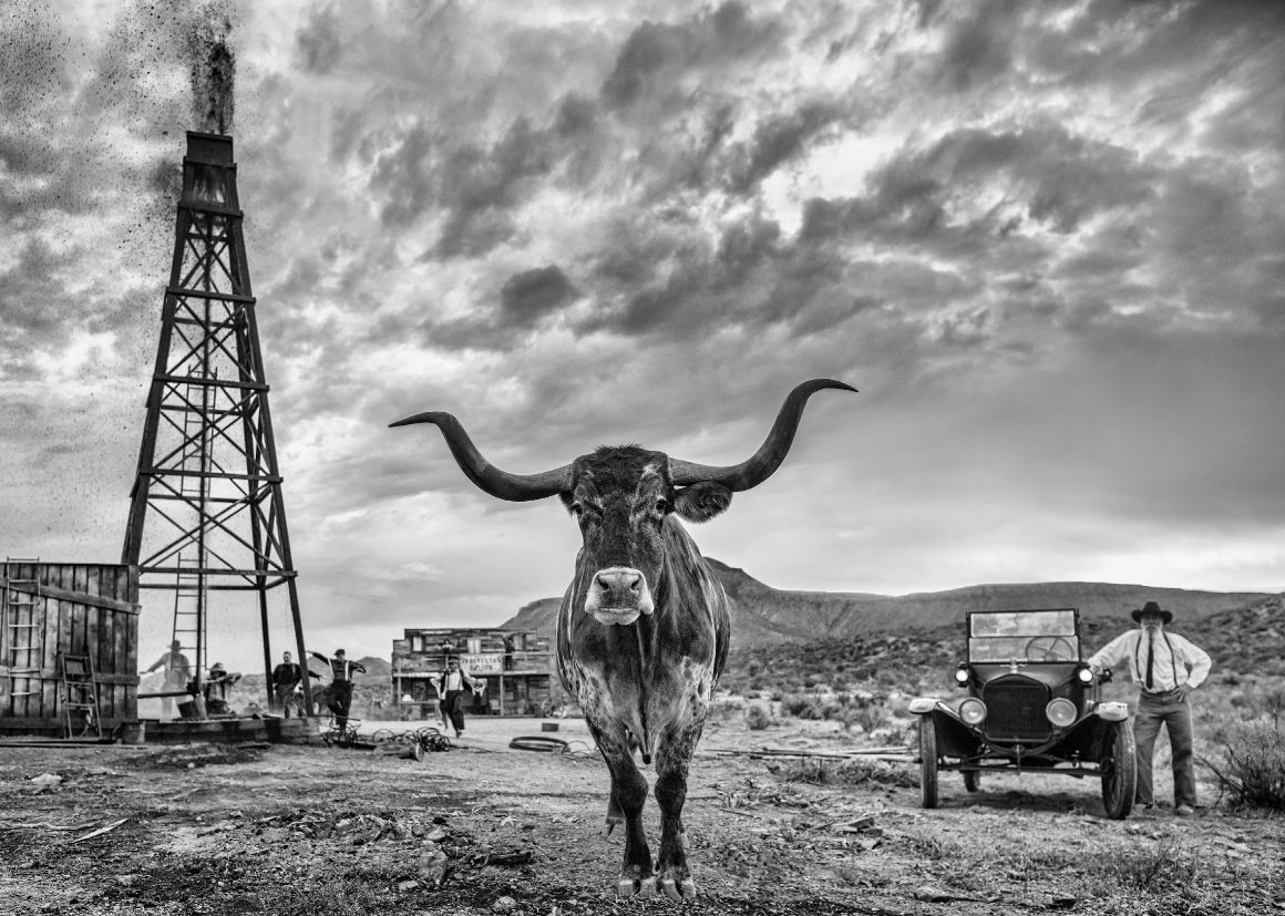 David Yarrow, Texas