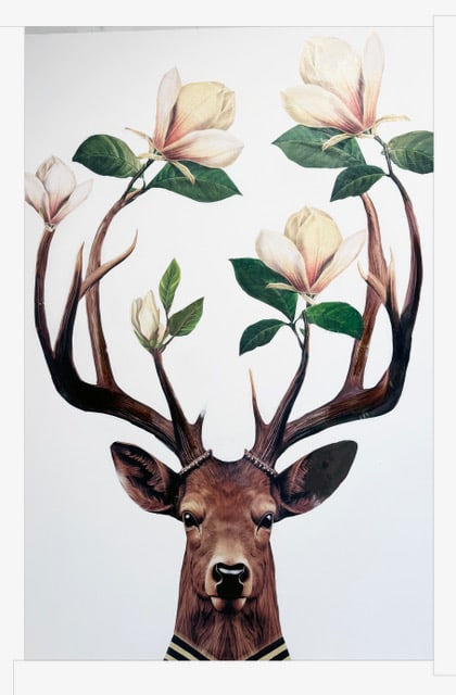 Anke Schofield, Spring Blossoms