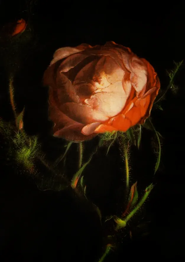 Russell Young, Round & Round