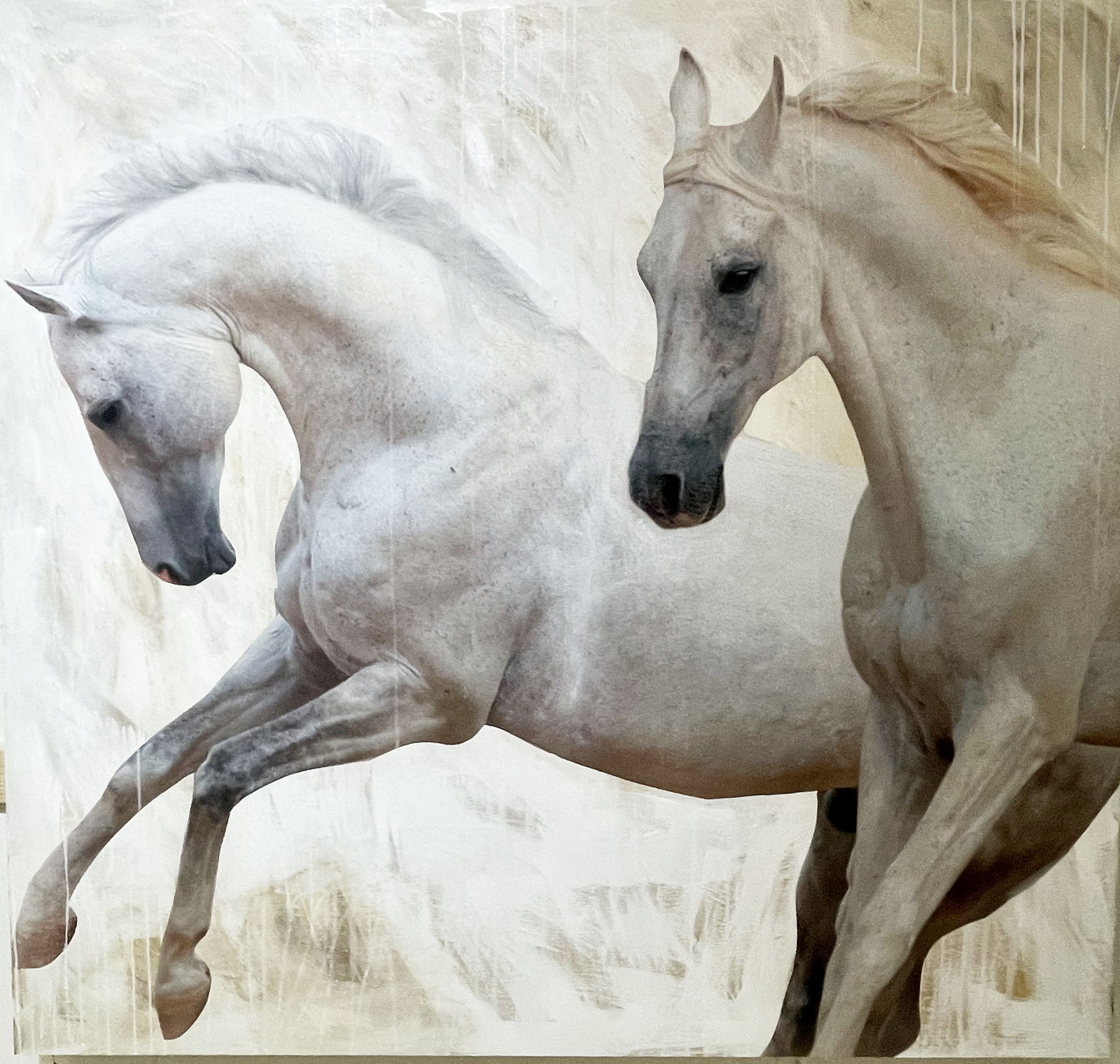 Anke Schofield, Running Wild