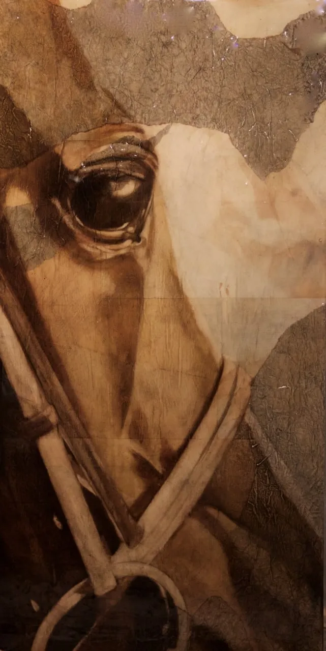 Kristin Knight, Morning Workout