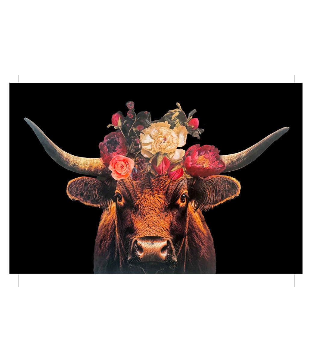 Anke Schofield, Field of roses