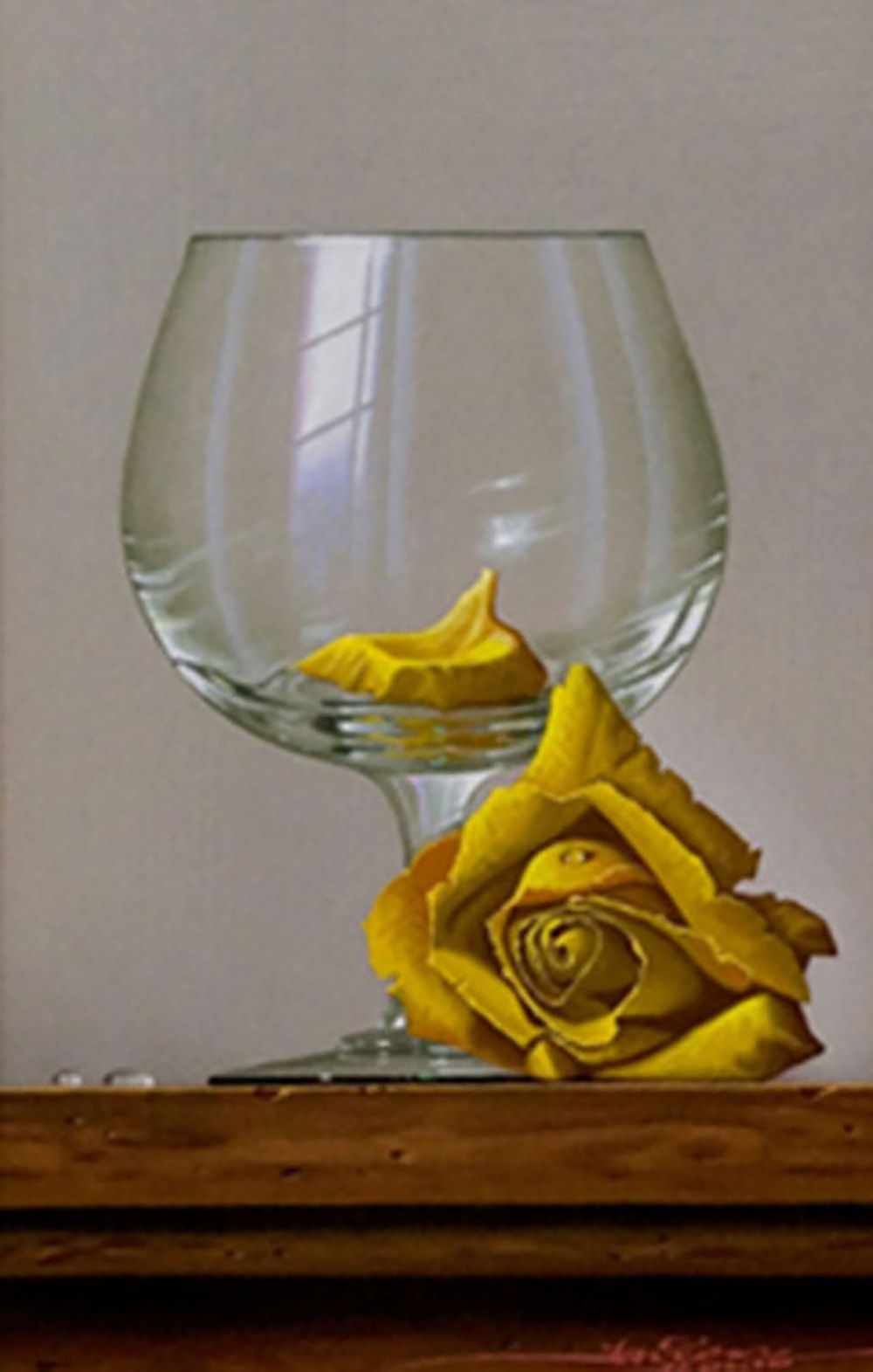 Javier, Only a Petal Remains