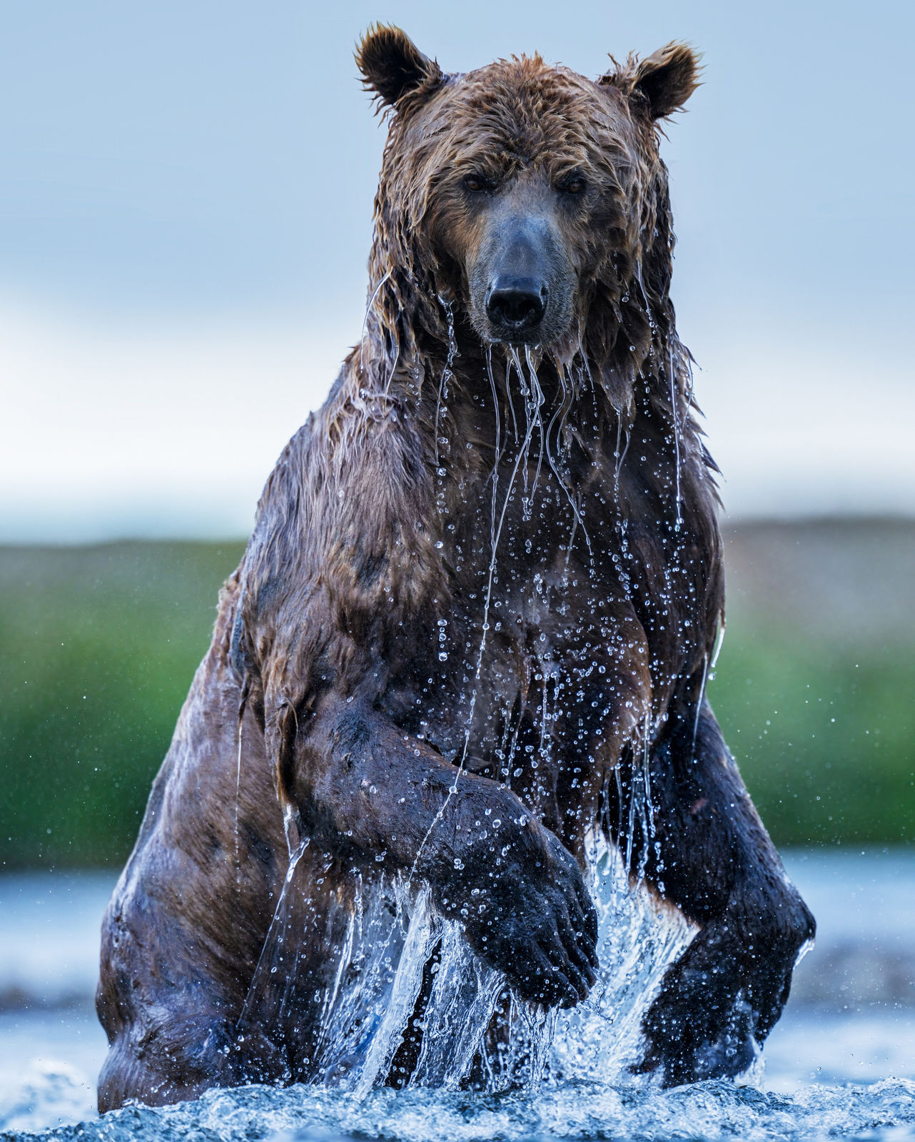 David Yarrow, Backcountry