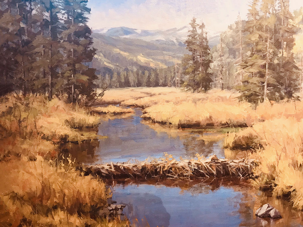 Bob Rohm, Beaver Dam - Homestake Creek Wetland