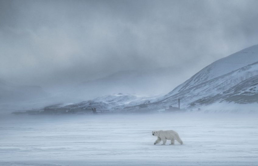 David Yarrow, North of the Wall