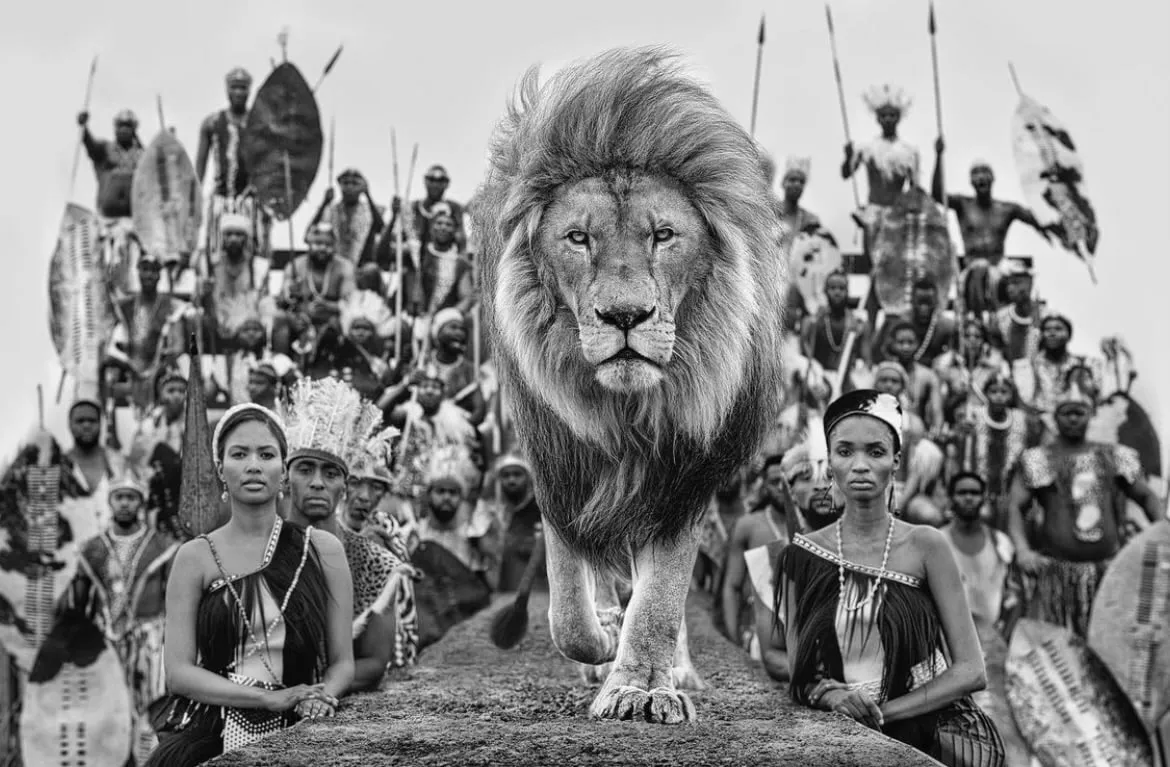 David Yarrow, Catwalk