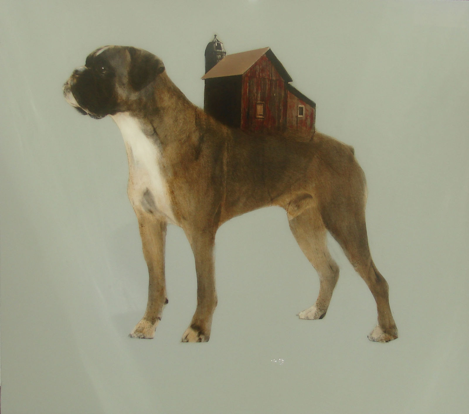 Anke Schofield, The Boxer