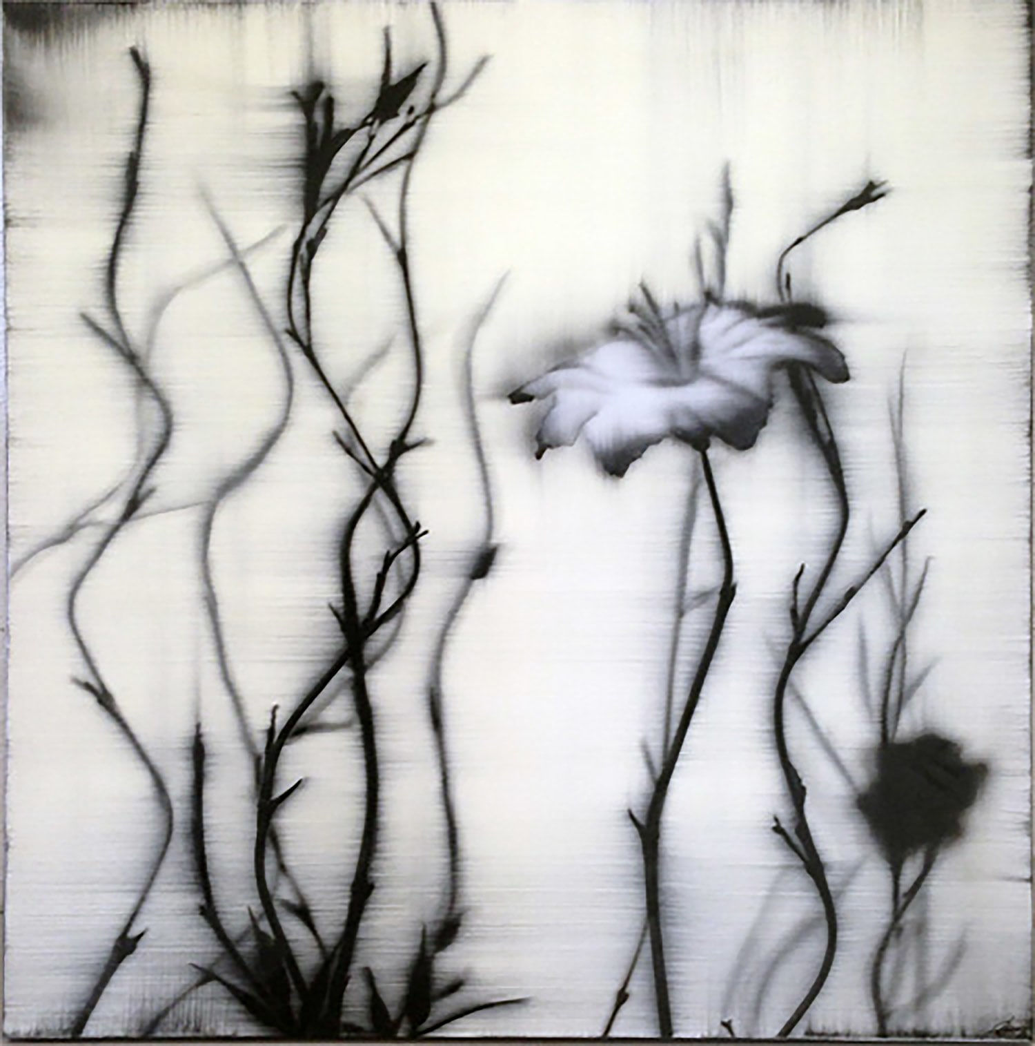 Hamilton Aguiar, 13038 Sublime