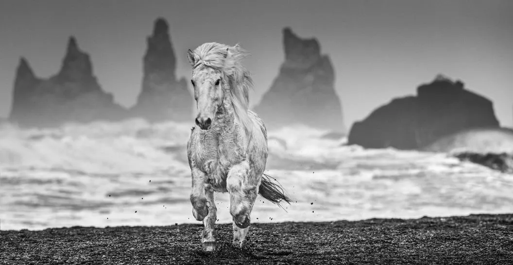 David Yarrow, The Perfect Storm