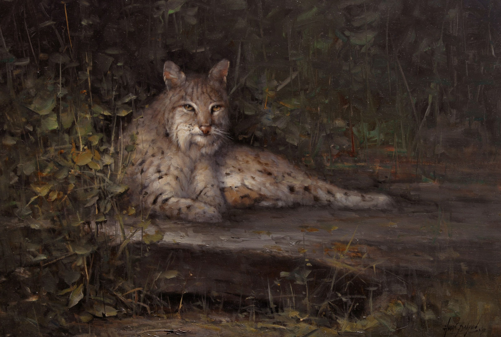 Andre Balyon, The Bobcat