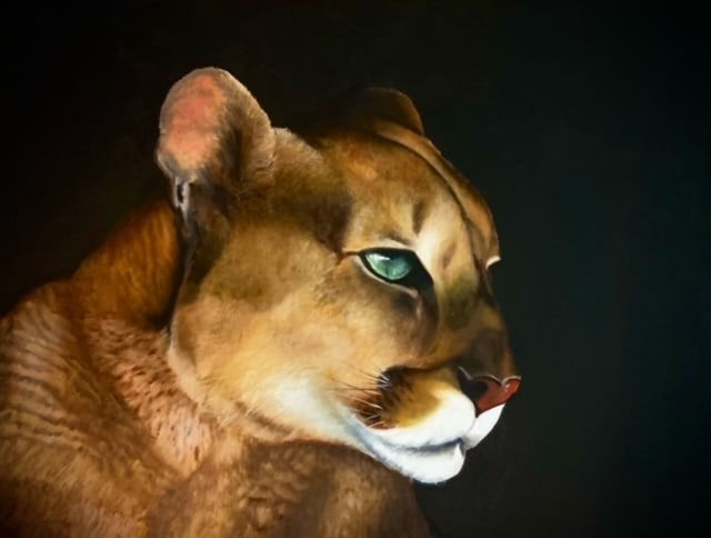 James Jensen, Mountain Lion