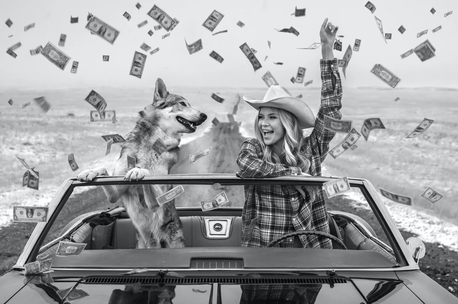 David Yarrow, Fargo