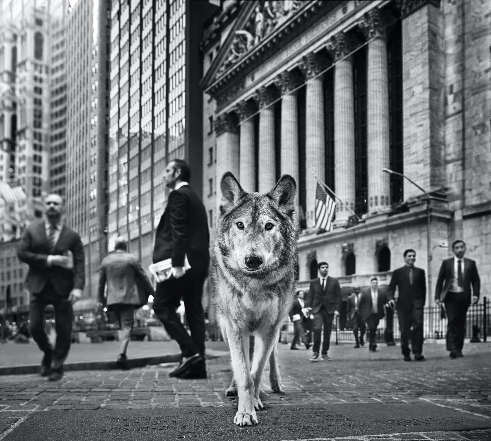 David Yarrow, Wall Street
