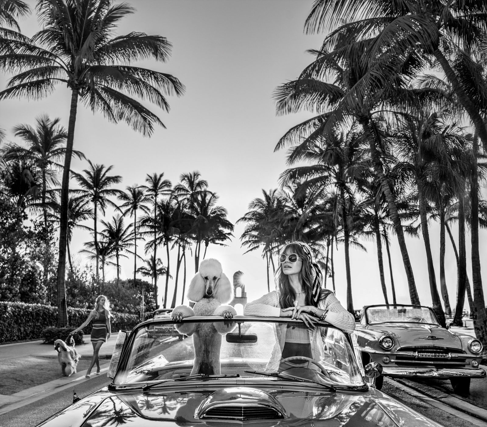 David Yarrow, Worth Avenue