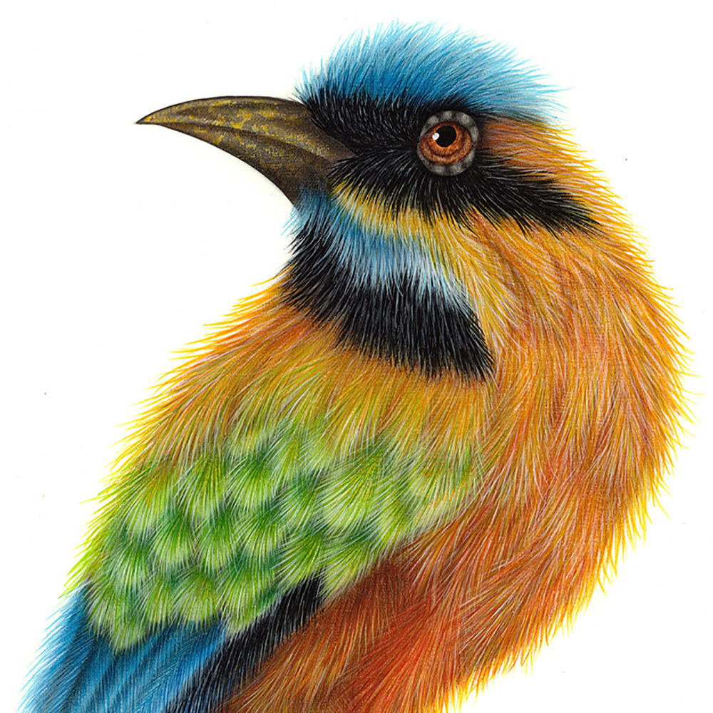 Luis Sottil, Palaro Reloj