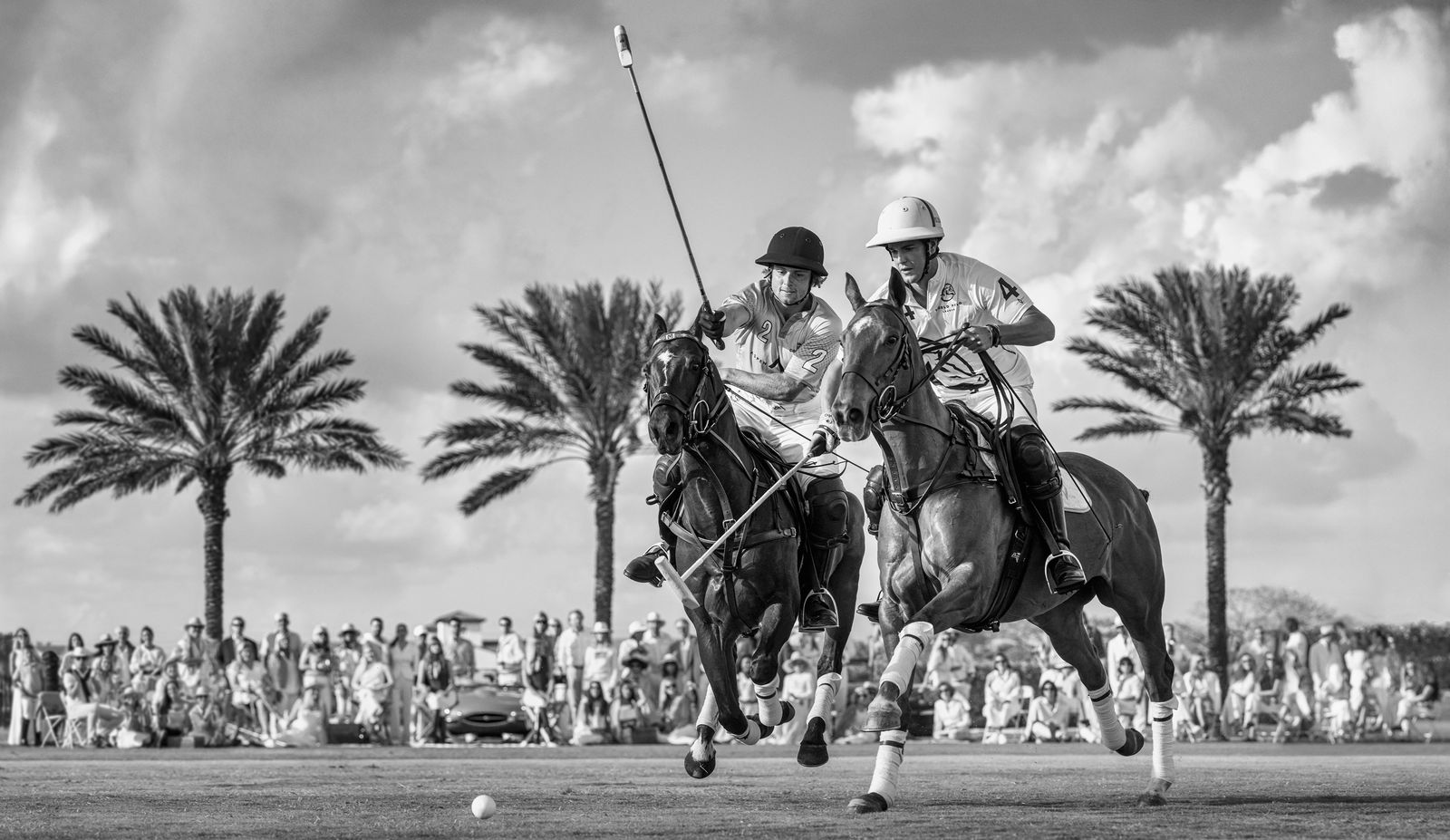 David Yarrow, Wellington