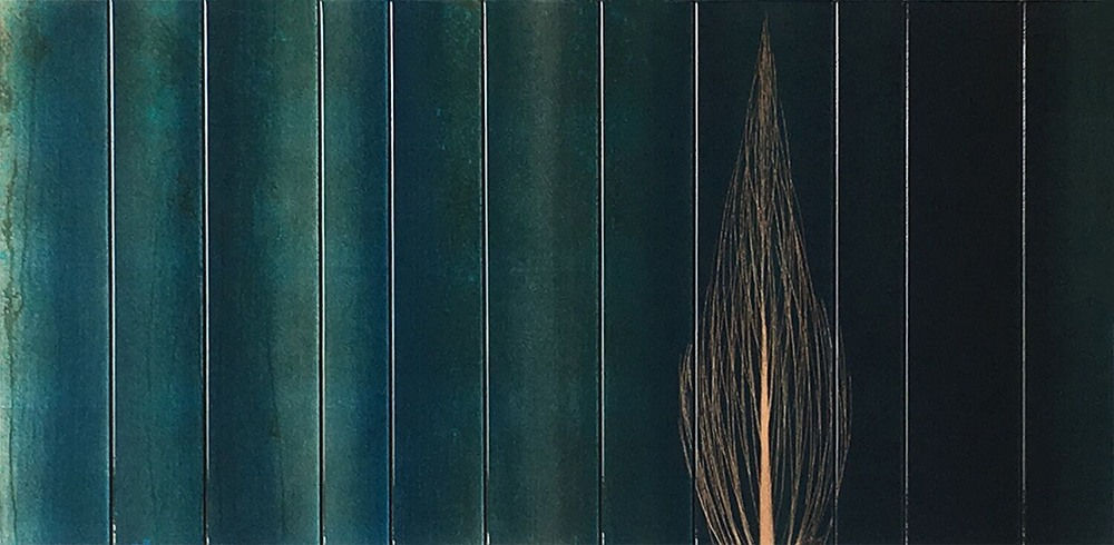 Hamilton Aguiar, 17071 Cores