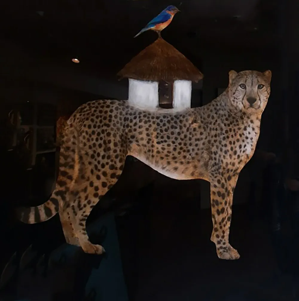 Anke Schofield, Shelter