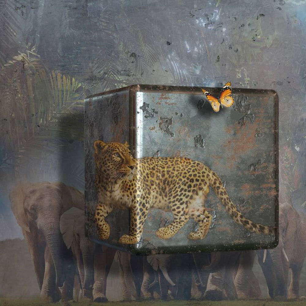 Antal Goldfinger, African Dreams