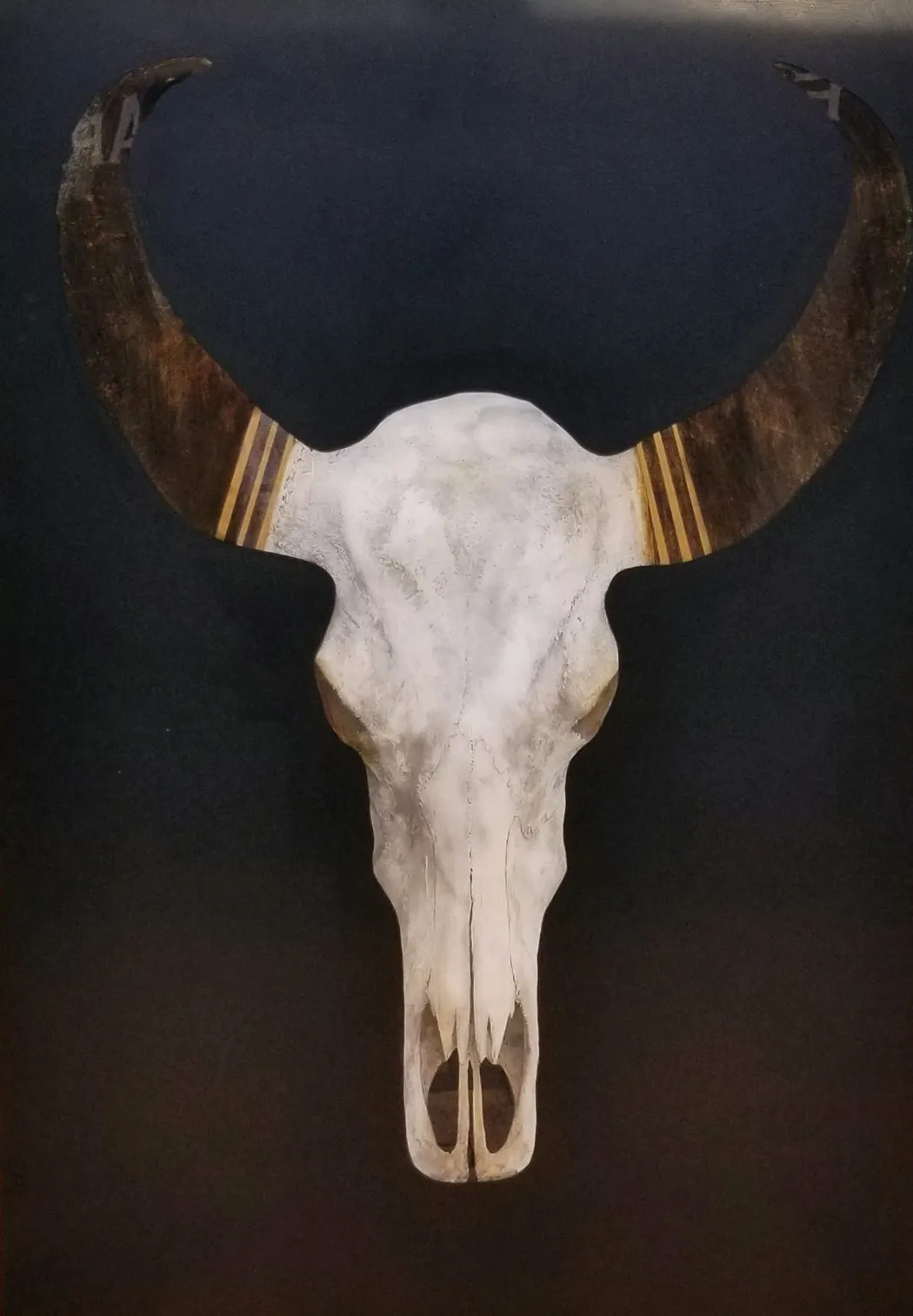 Anke Schofield, Western Dreams