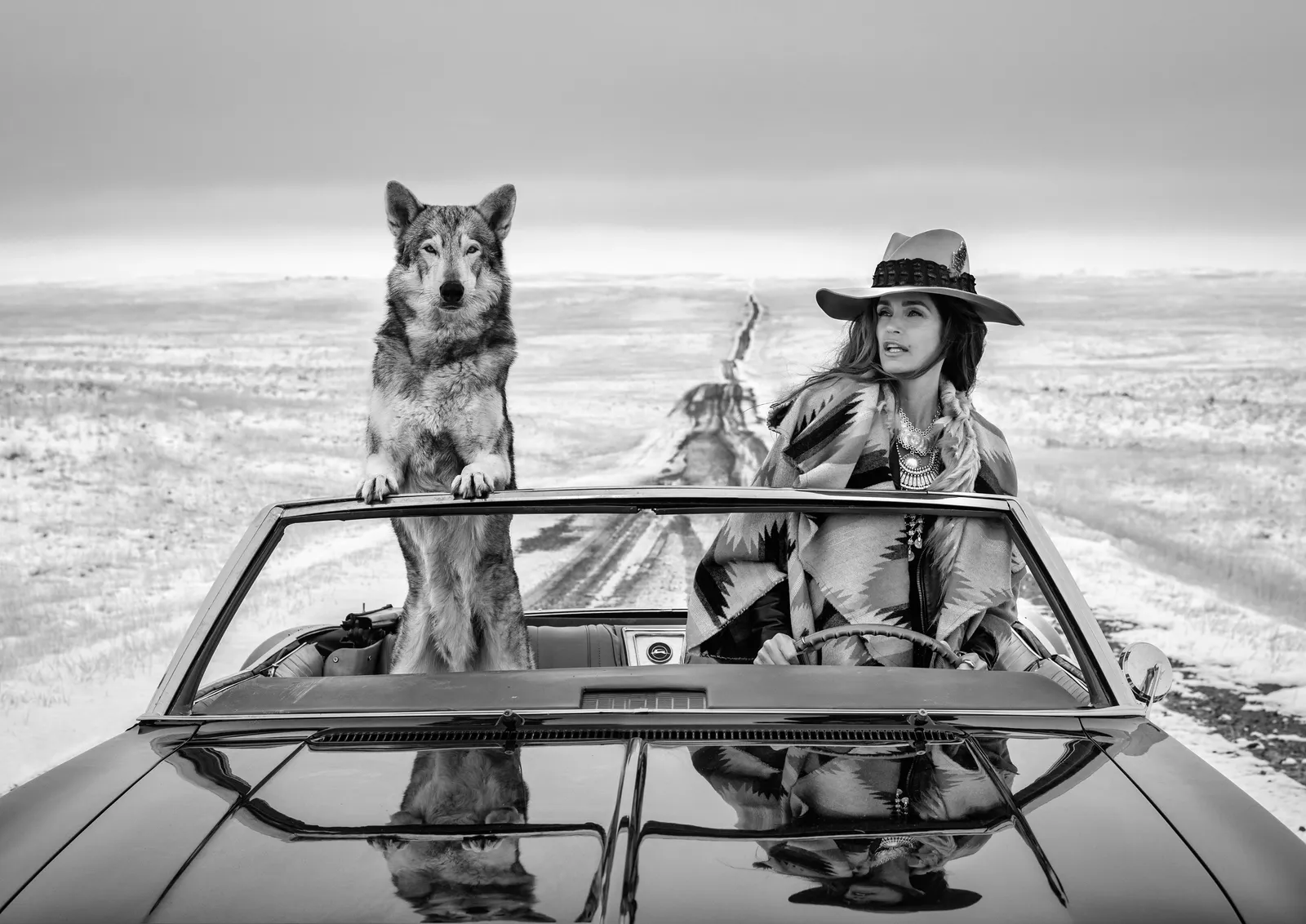 David Yarrow, On the Road Again