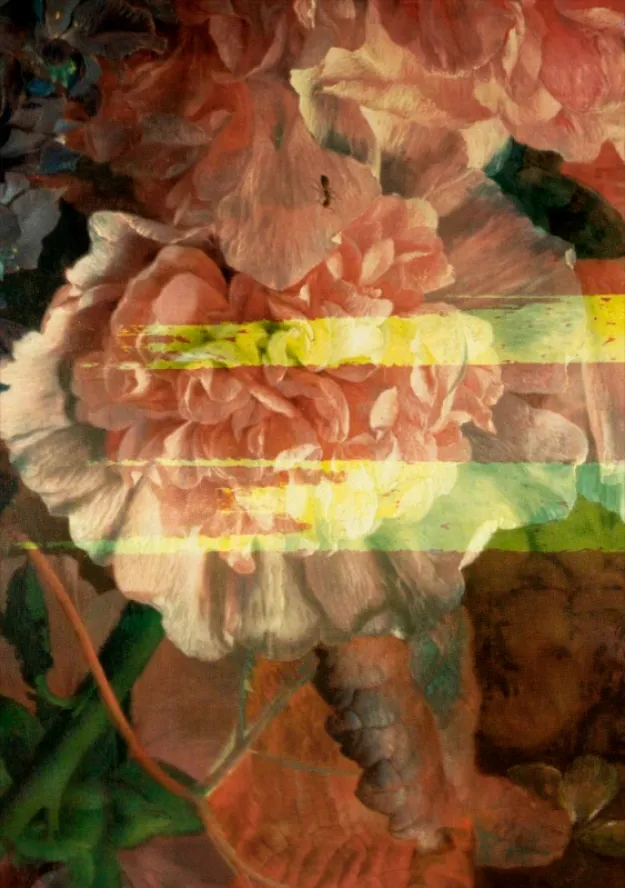 Russell Young, Young Offender