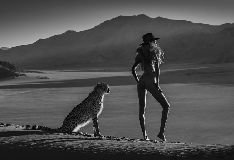 David Yarrow, African Tails