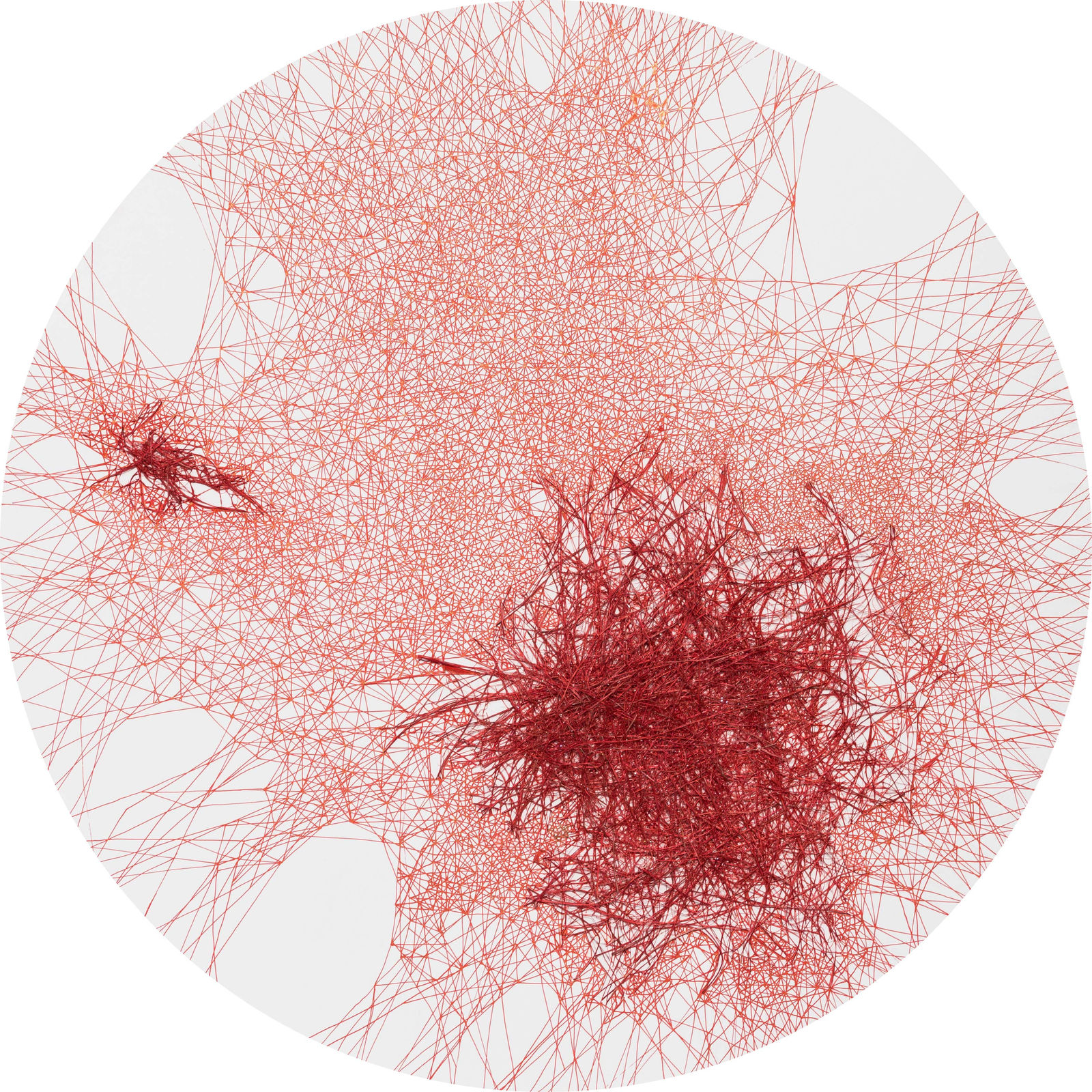 Dhara Mehrotra, Echo- IV, 2021