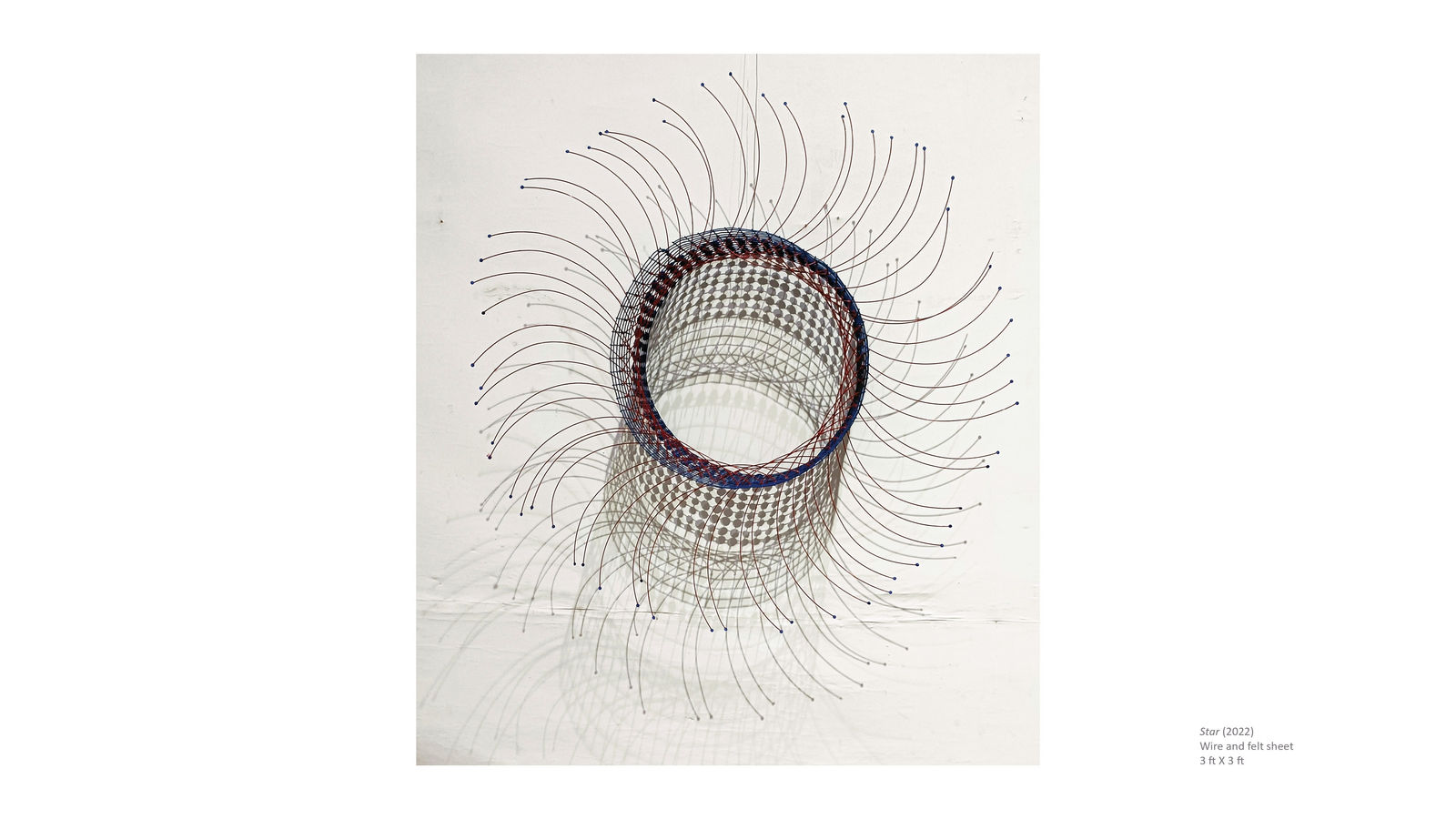 Purvi Sharma, Star, 2022