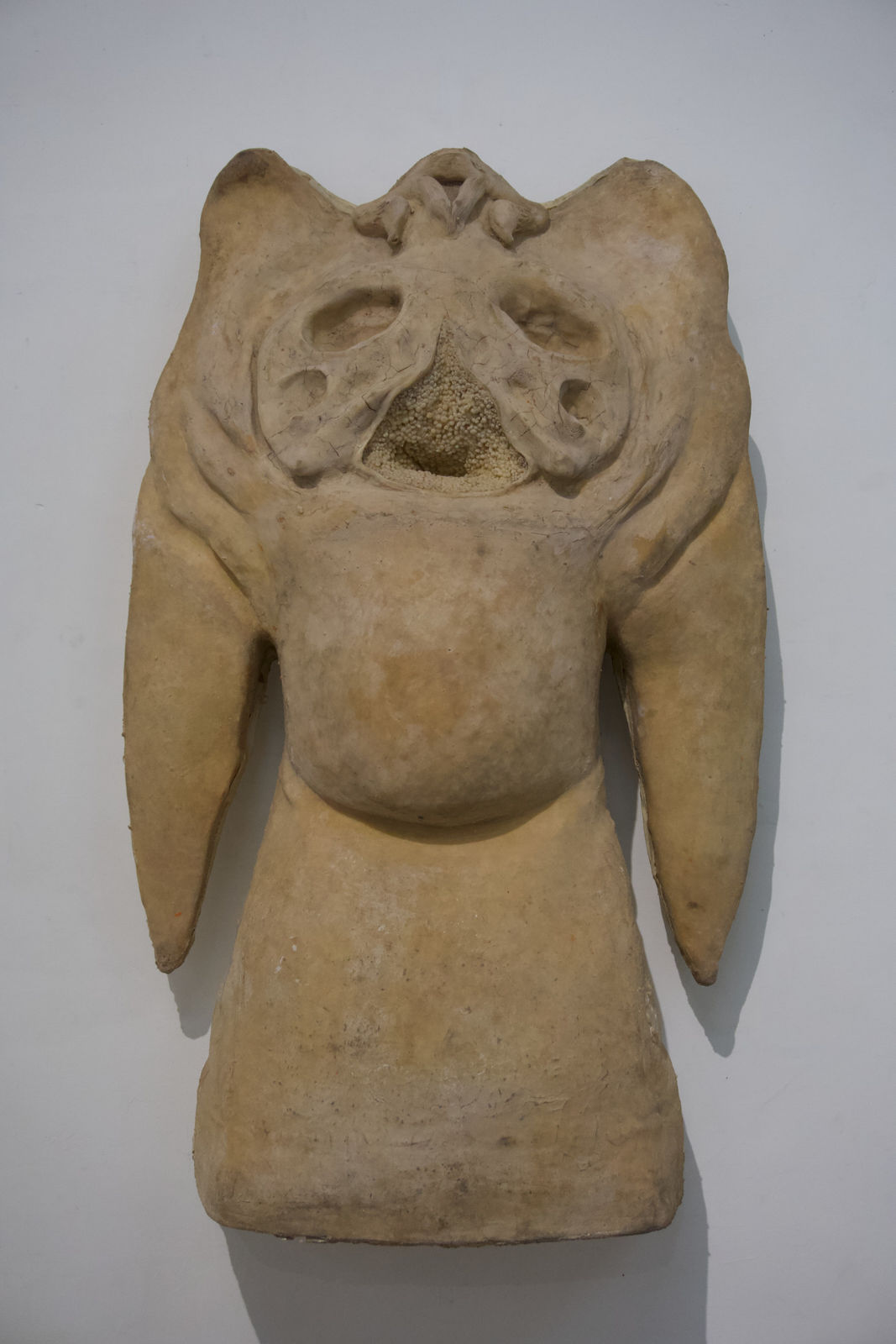 Pritish Bali, Form 1, 2021