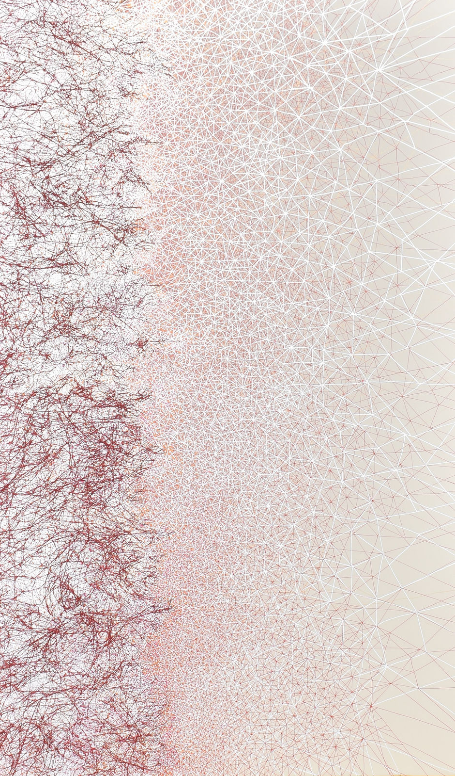 Dhara Mehrotra, Entropic III, 2025