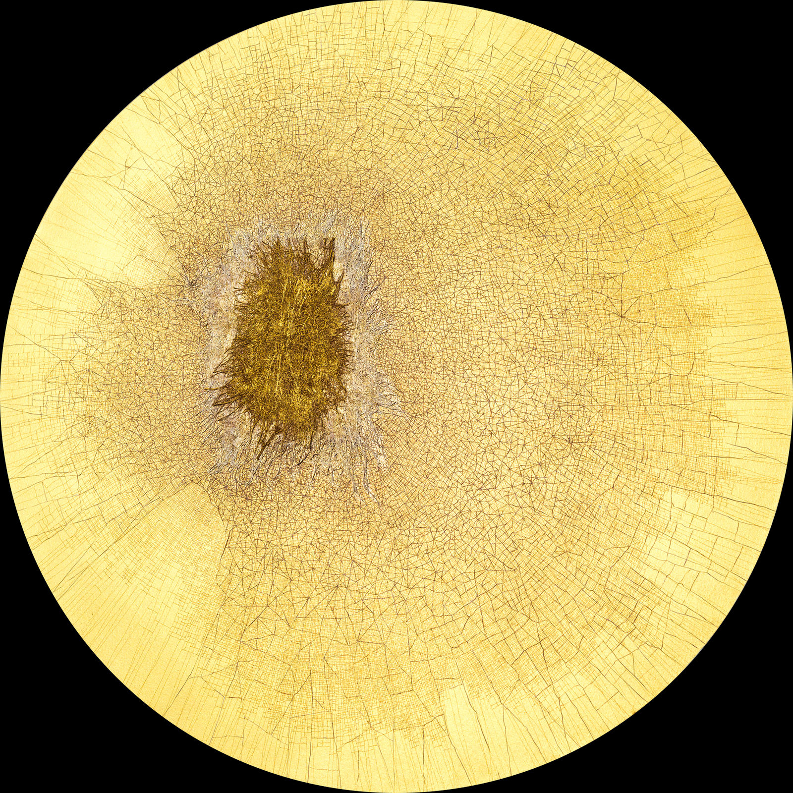 Dhara Mehrotra, Labyrinth XII, 2022