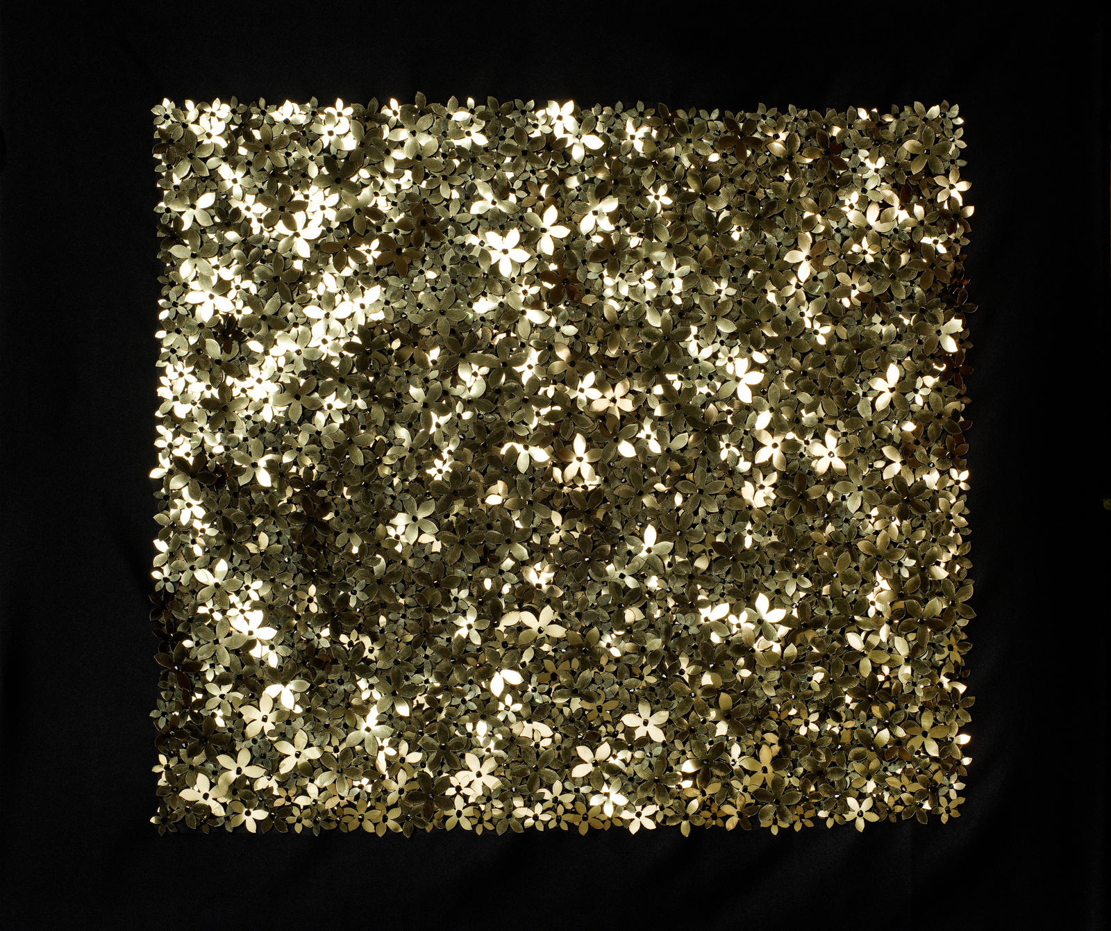 Bushra Waqas Khan, Frangipani , 2025