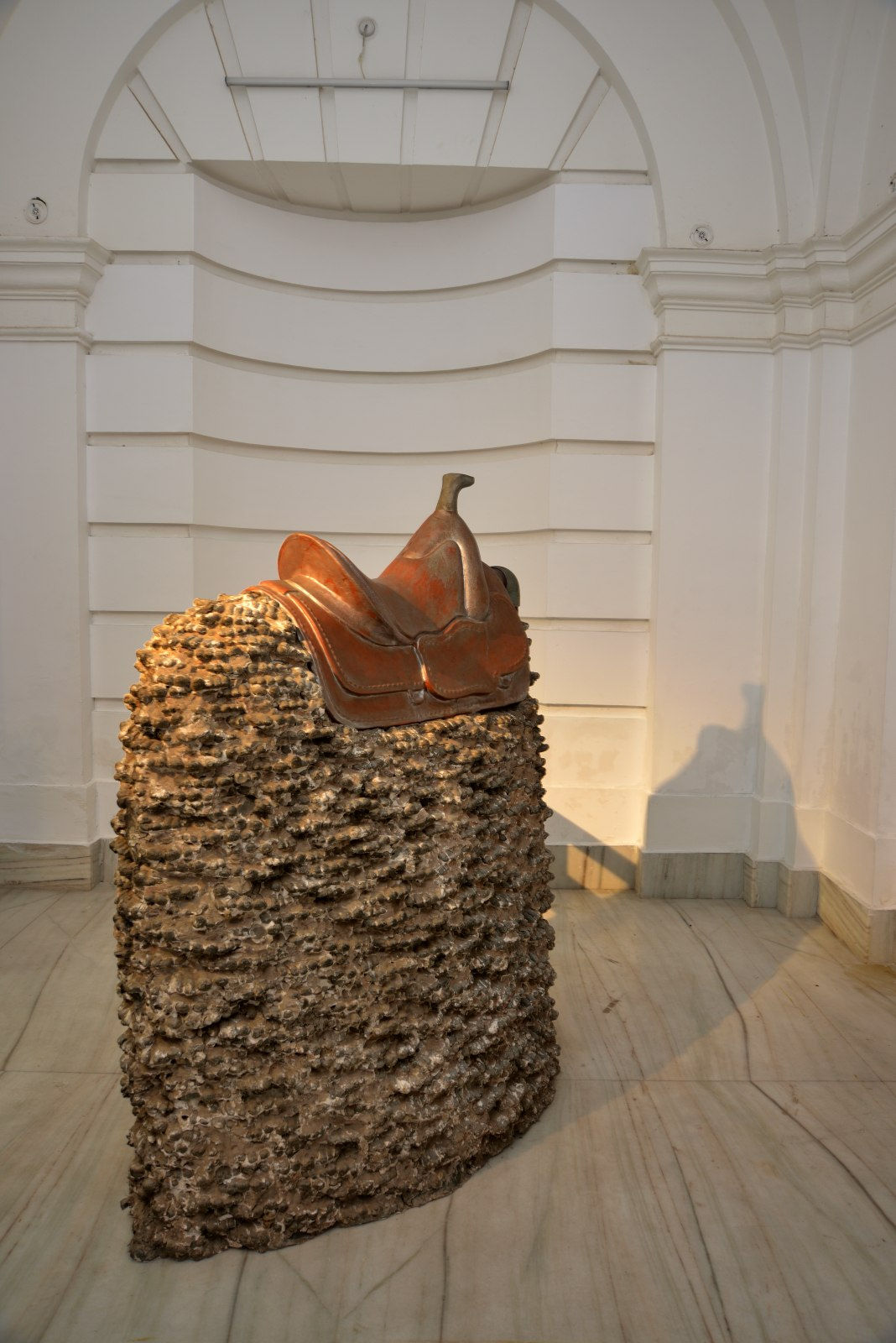 Probir Gupta, Frozen in Time , 2018