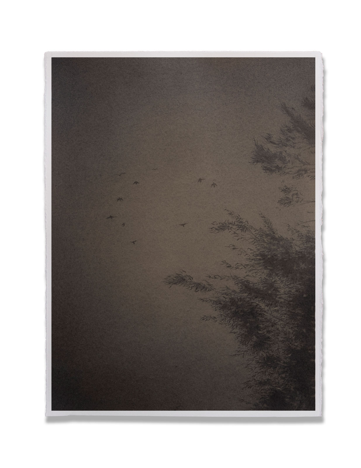 Sketched on a coffee-stained paper with graphite pencil, Irfan Channa, artist from Pakistan, imagines landscapes inspired by nature and explores deep connect with ecology