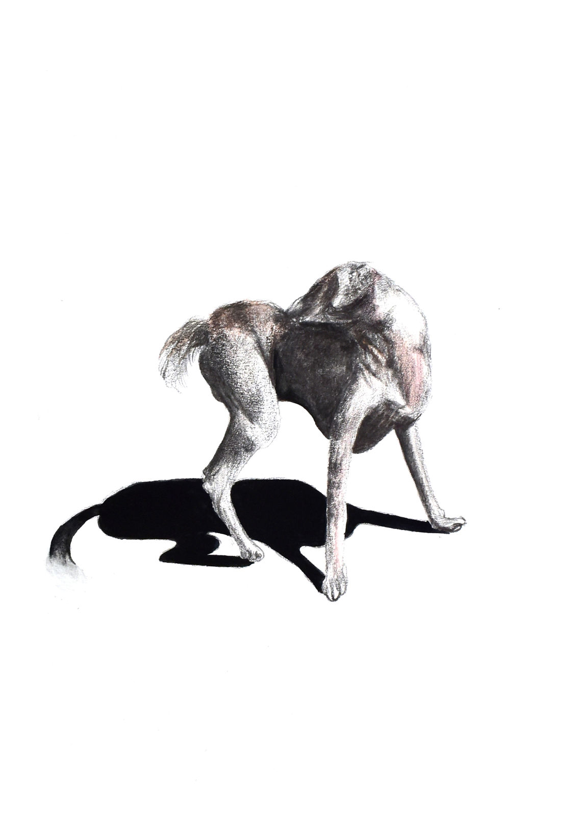 Meet Varvada, Itching (set of 6), 2021