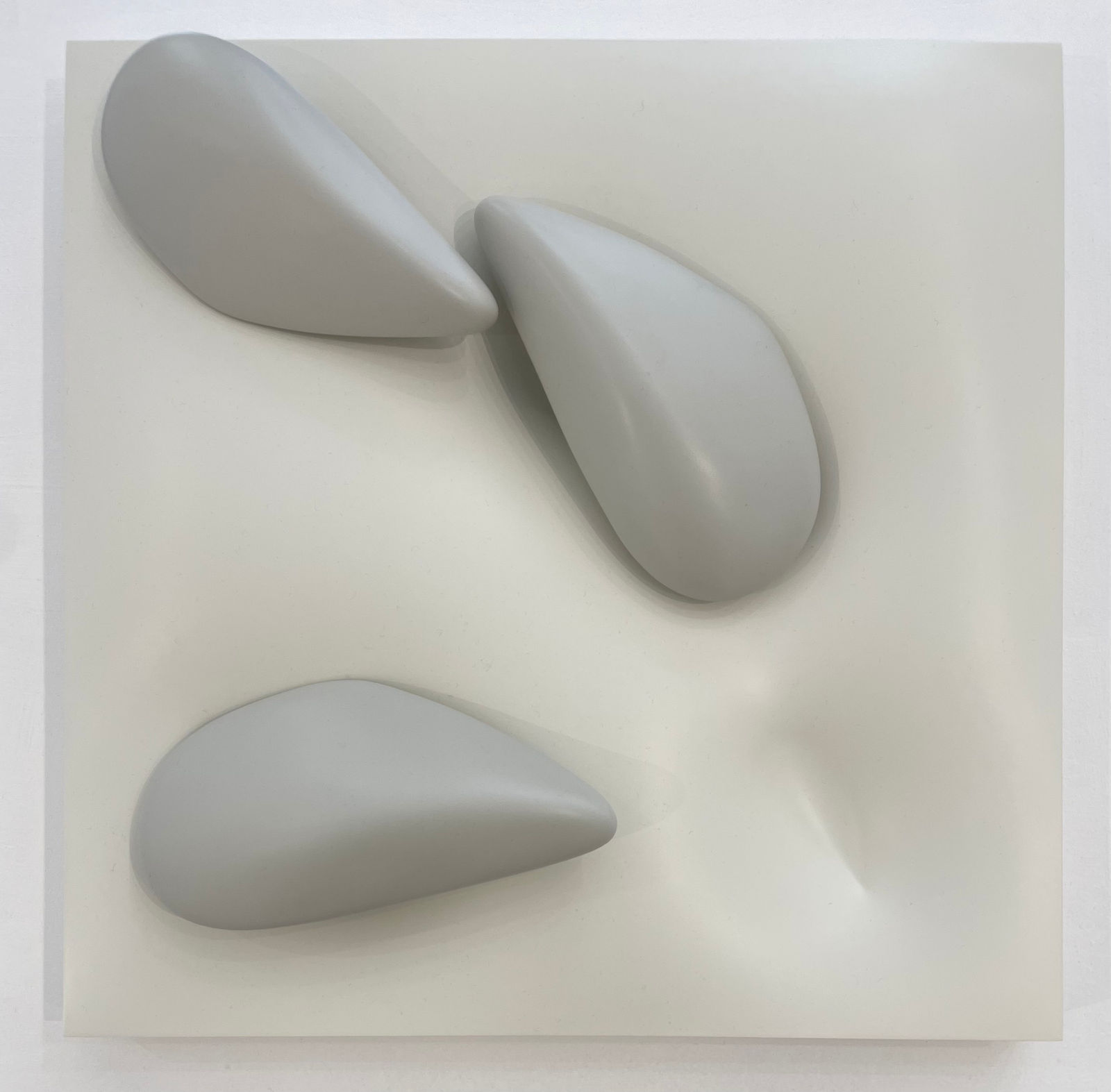 Lorraine Robson, Mussel 6