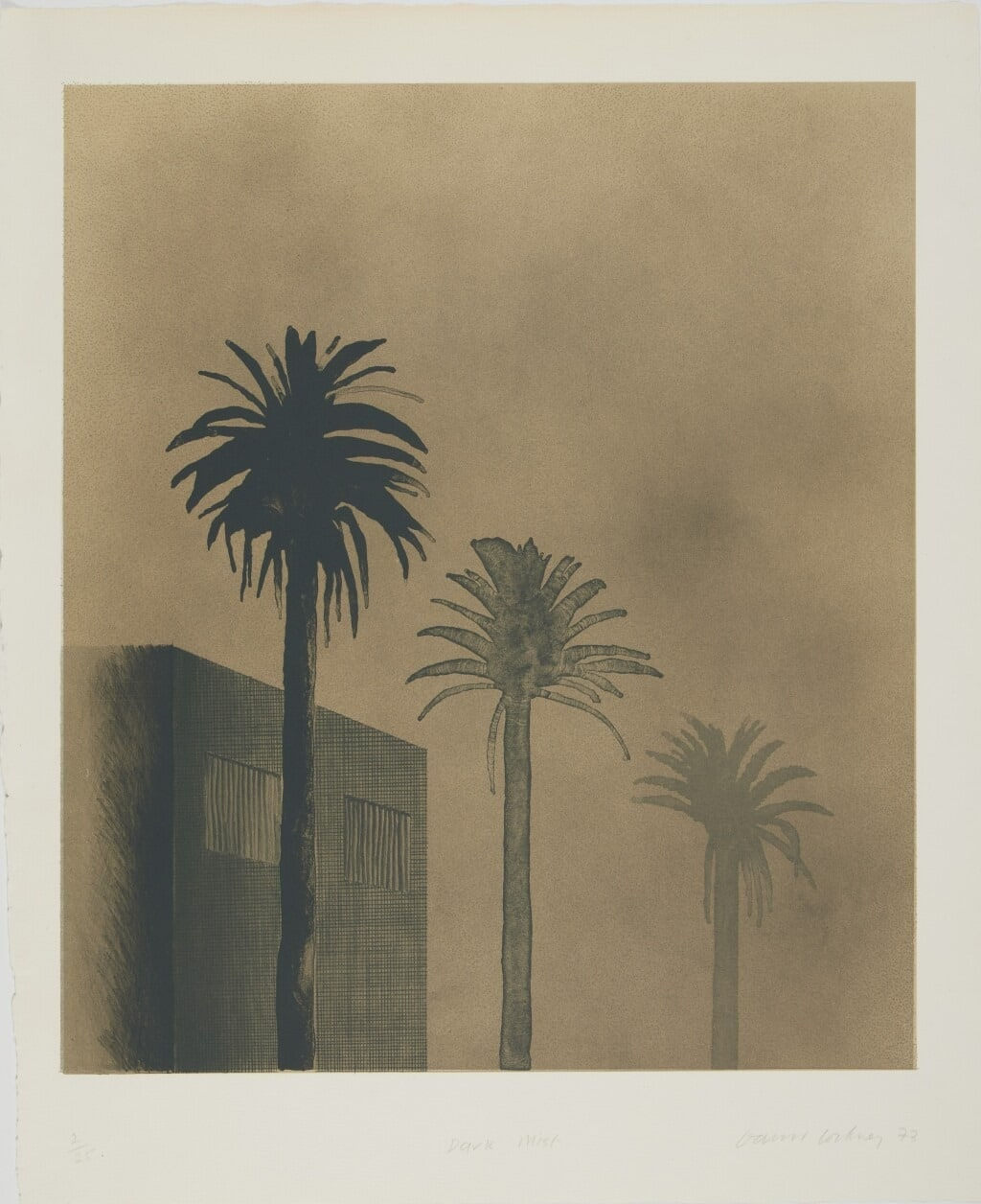 David Hocknet Dark Misrt from the weather series for sale